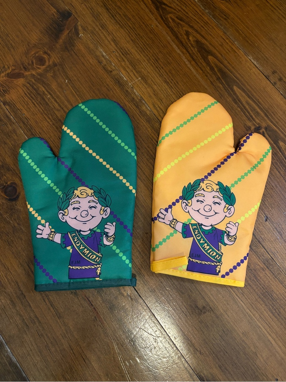 Mardi Gras Oven Mitts- 2026 Endymion Throw